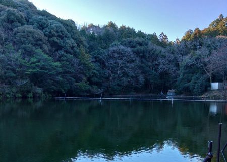 岸際のブラウンを狙い撃て ～岡崎トラウトポンド～